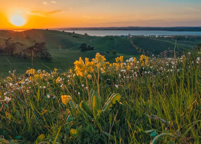 Selliner Hof Hotel 3*