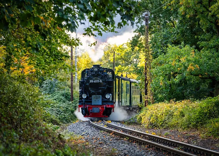 Hotel Selliner Hof 3*